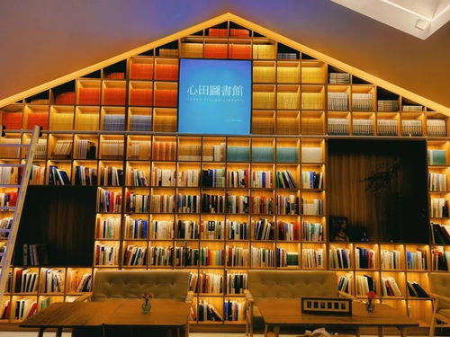 证券书店 马上开放，超酷的魔法森林来了